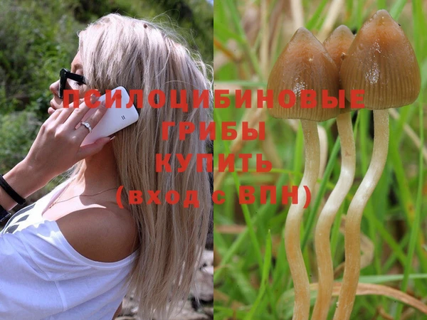 гашишное масло Абдулино